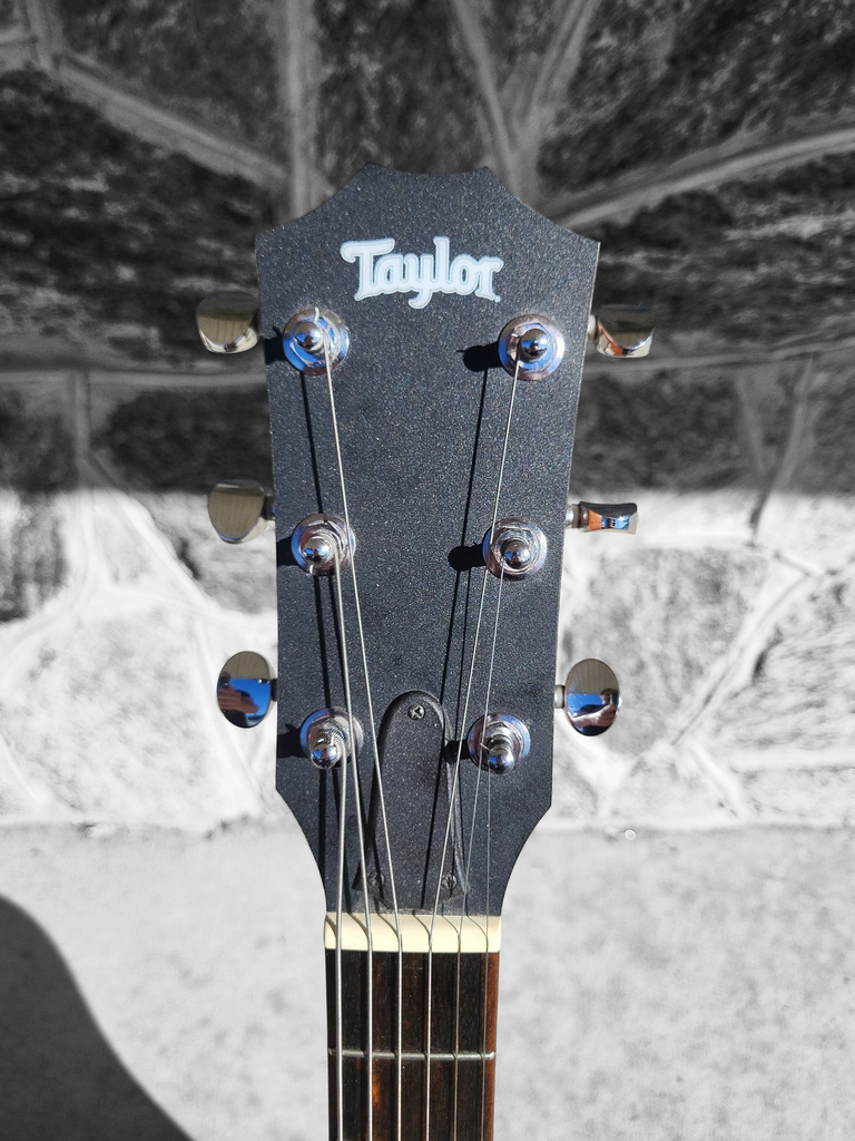 Taylor Big Baby 2012 w/  Matching Gig Bag