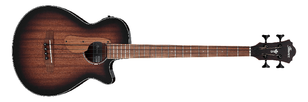 Ibanez AEGB24E Acoustic Bass, Mahogany Sunburst High Gloss