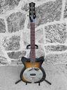 Danelectro 59 Resonator, Tobacco Sunburst