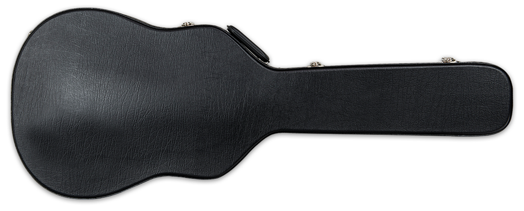 Takamine G Series Case GC-WN (Fits Dreadnought and NEX)