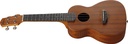 Ibanez UKC100 Concert Ukulele