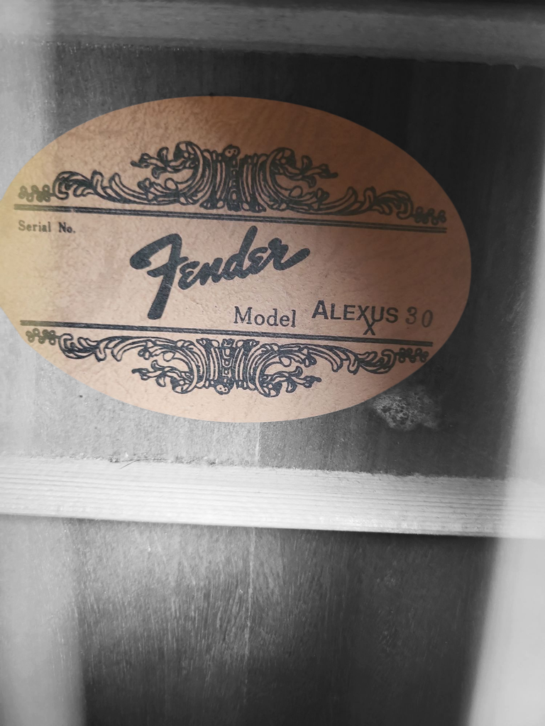 Fender Alexus 30 Dreadnaught Acoustic