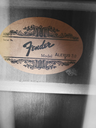 Fender Alexus 30 Dreadnaught Acoustic