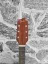 Fender Alexus 30 Dreadnaught Acoustic
