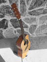Fender Alexus 30 Dreadnaught Acoustic