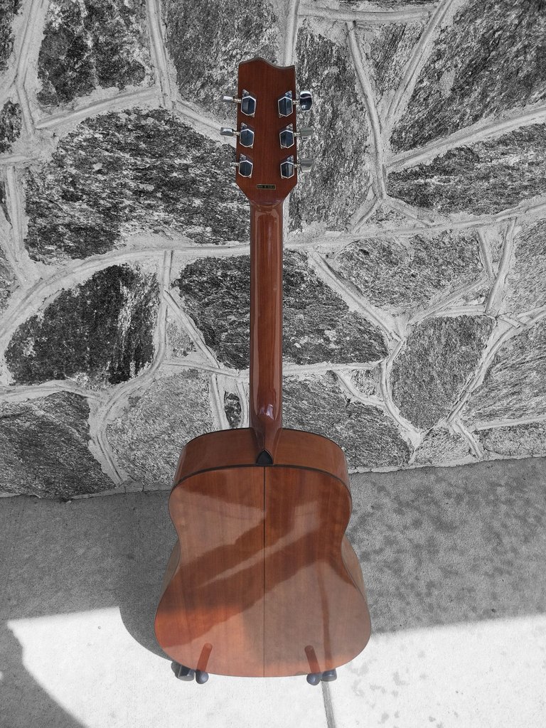 Fender Alexus 30 Dreadnaught Acoustic