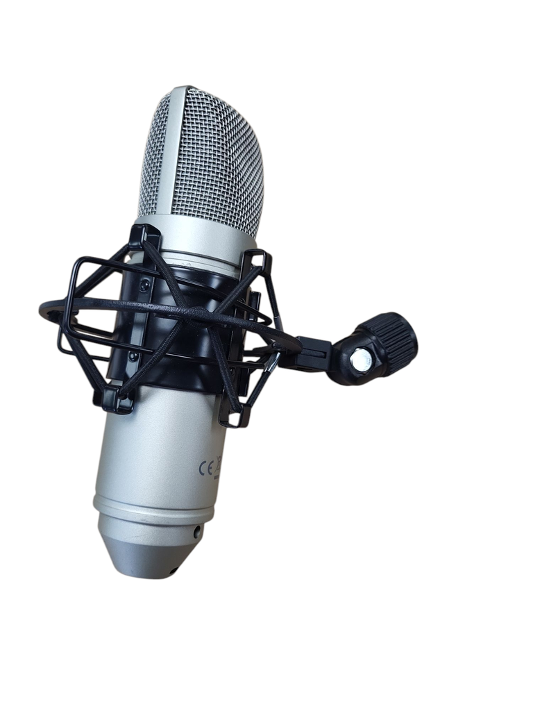 Tascam TM-80 Large Diaphragm Condenser Mic with Shock Mount