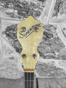 Supertone Tenor Banjo, 1920s