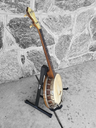 Supertone Tenor Banjo, 1920s
