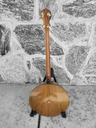 Supertone Tenor Banjo, 1920s