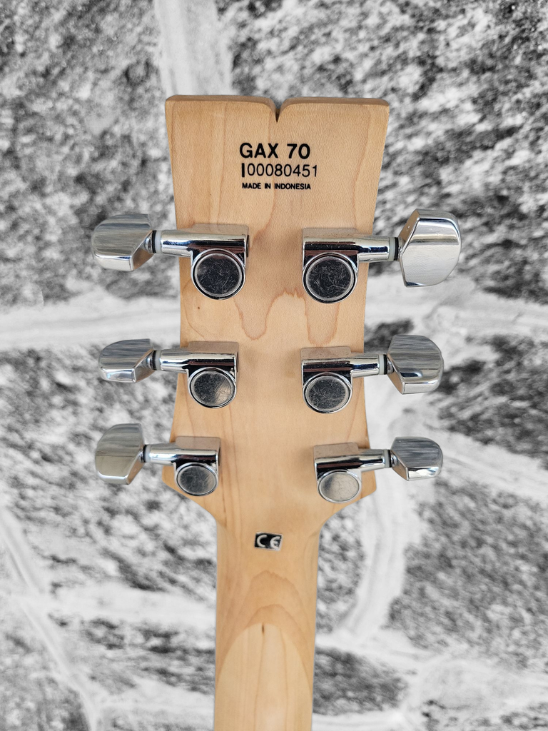 Ibanez GAX70 with Seymour Duncan Nazgul bridge pup
