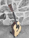 Martin X Series DX1AE Special - With Case