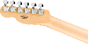 Fender Standard Telecaster®, Maple Fingerboard, Butterscotch Blonde