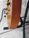 Ibanez Premium RGT1220PB Electric Guitar, Antique Brown Stained, DEMO
