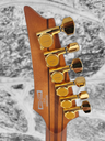 Ibanez Premium RGT1220PB Electric Guitar, Antique Brown Stained, DEMO