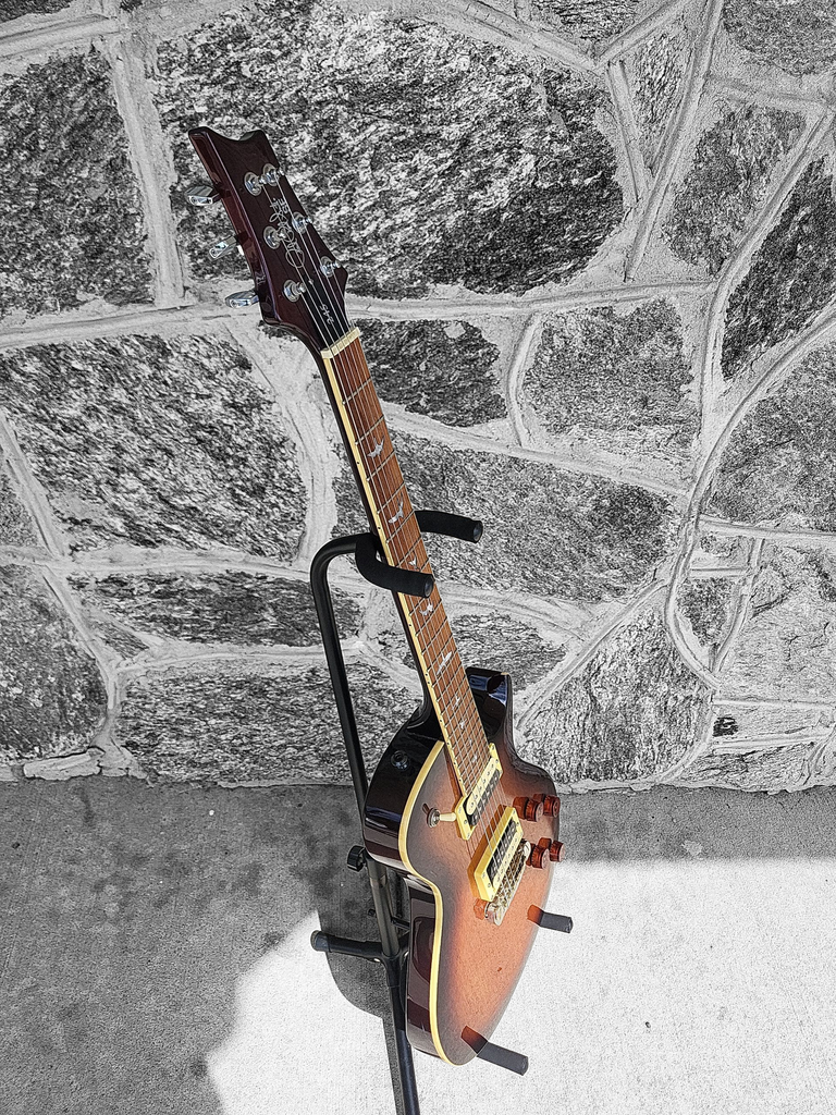 PRS SE 254 Standard