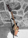 PRS SE 254 Standard
