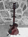 PRS SE 254 Standard