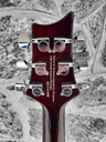 PRS SE 254 Standard