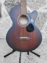 Mitchell t239b-ce-bst Terra-Acoustic Bass