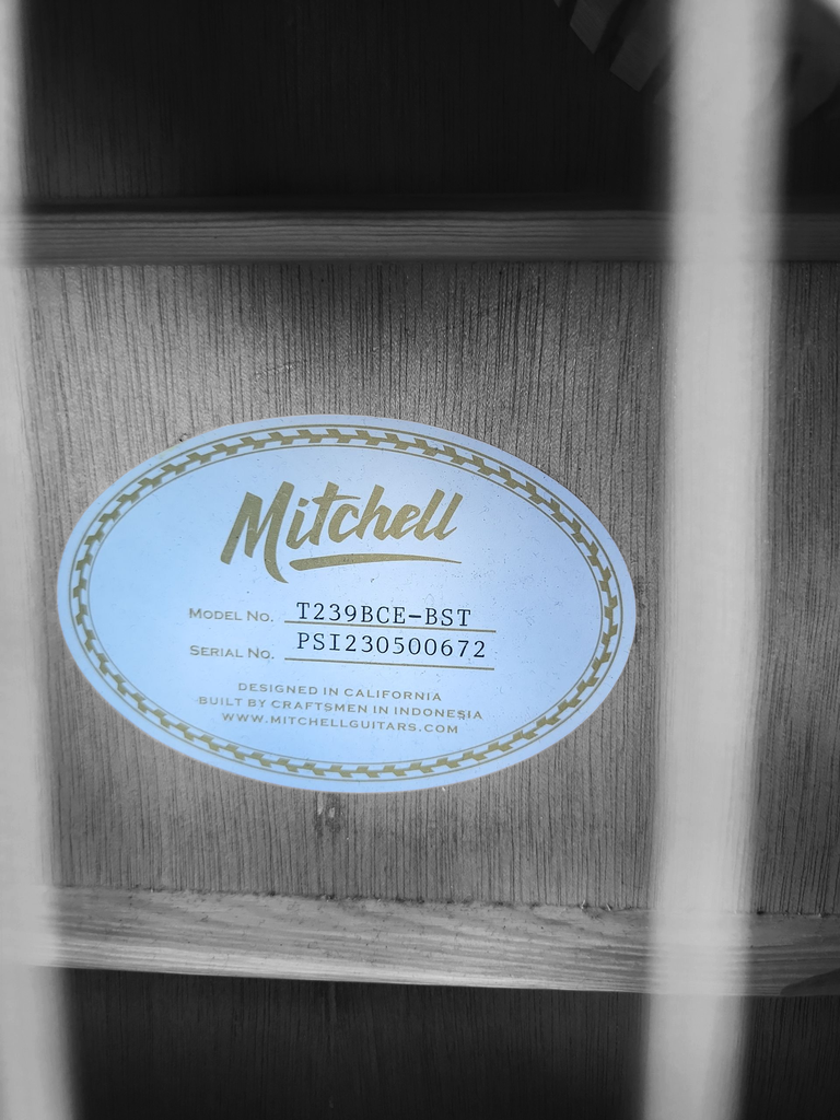 Mitchell t239b-ce-bst Terra-Acoustic Bass