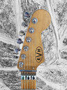 EVH Striped Series Frankie