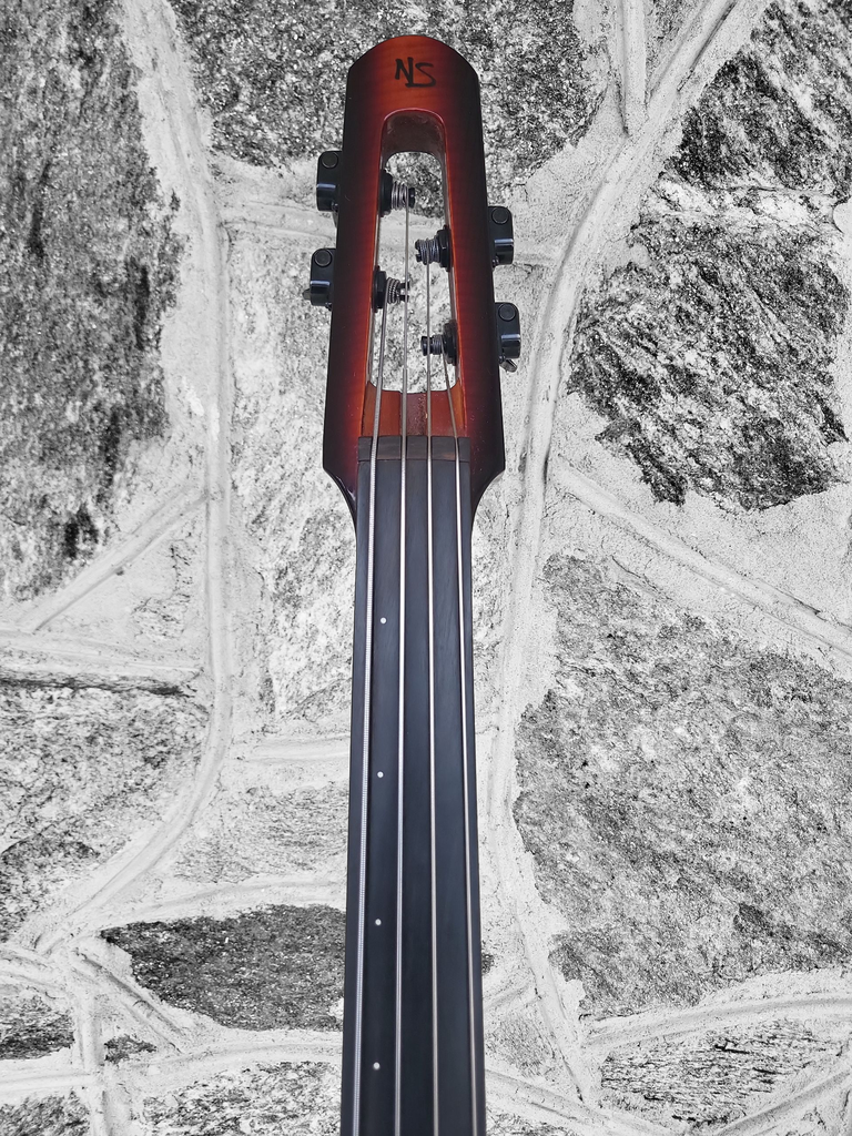 NS Design Wav 4 Electric Upright Bass