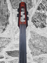 NS Design Wav 4 Electric Upright Bass