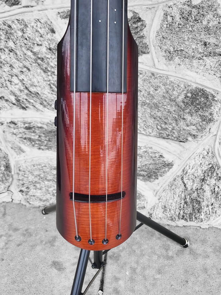 NS Design Wav 4 Electric Upright Bass