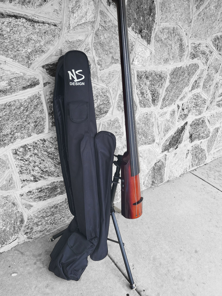 NS Design Wav 4 Electric Upright Bass