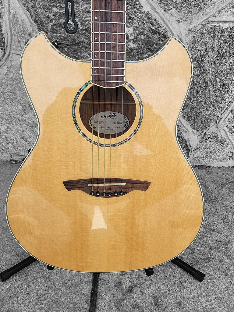 Wechter Pathmaker Acoustic Electric Guitar with Hardshell Case