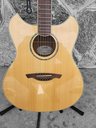 Wechter Pathmaker Acoustic Electric Guitar with Hardshell Case