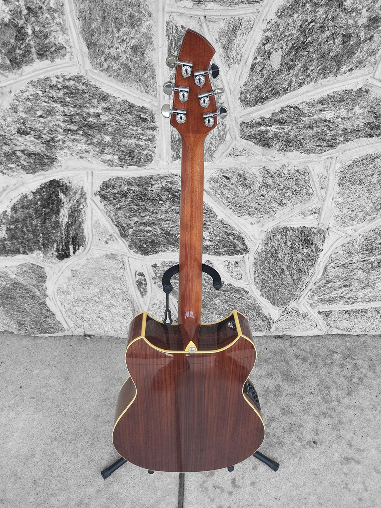 Wechter Pathmaker Acoustic Electric Guitar with Hardshell Case