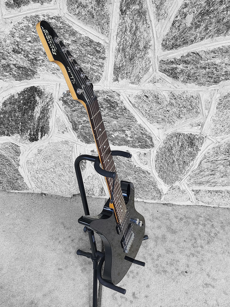 Schecter Revenger 7