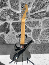 Schecter Revenger 7