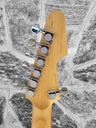 Schecter Revenger 7
