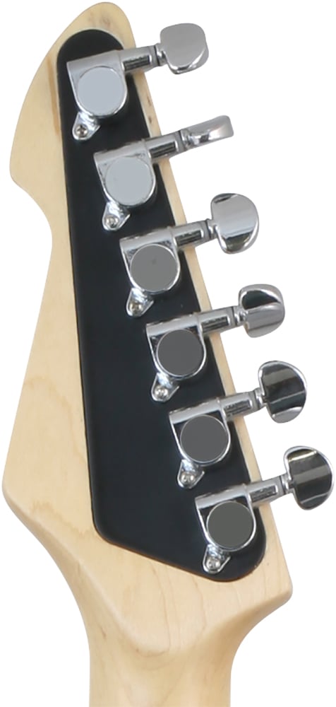 Peavey Raptor Custom Electric Guitar, Black