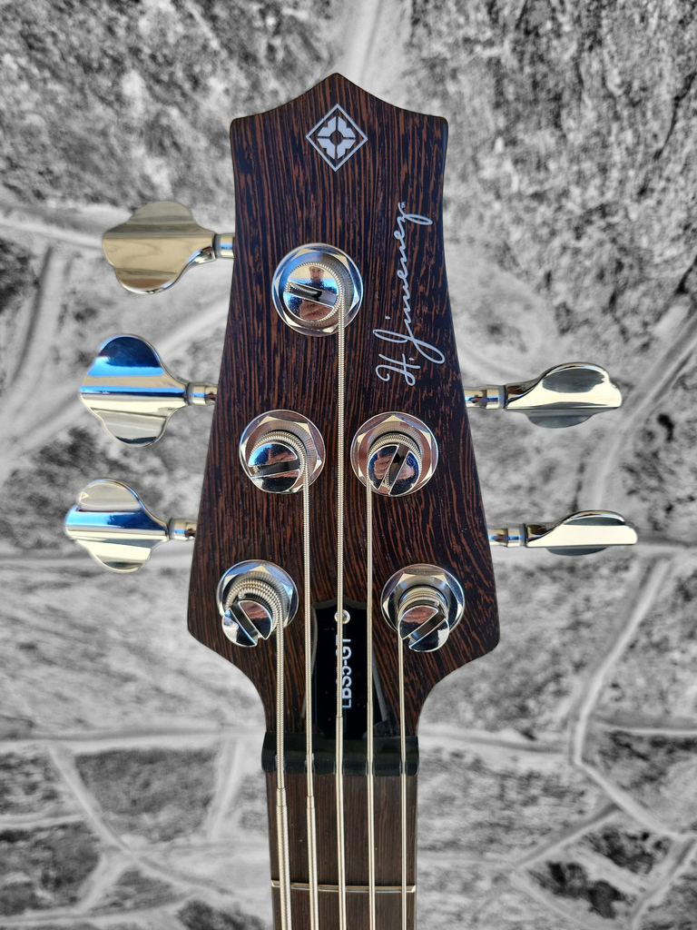 H. Jimenez Camaleon 5-String Bass, Gold Top