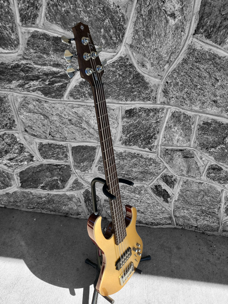 H. Jimenez Camaleon 5-String Bass, Gold Top