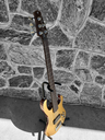 H. Jimenez Camaleon 5-String Bass, Gold Top