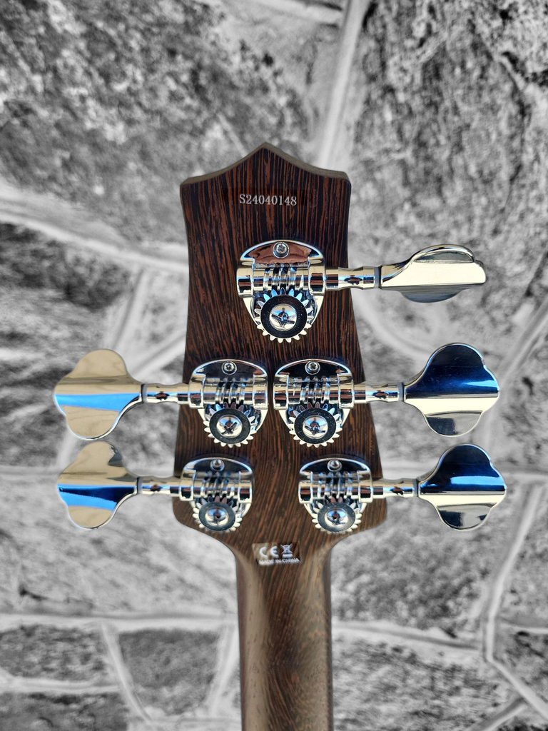 H. Jimenez Camaleon 5-String Bass, Gold Top