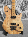 EVH Wolfgang Standard with EVH case, Spalted Maple