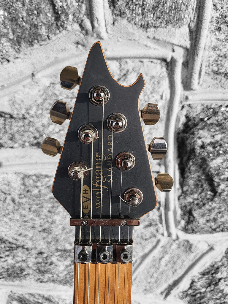 EVH Wolfgang Standard with EVH case, Spalted Maple