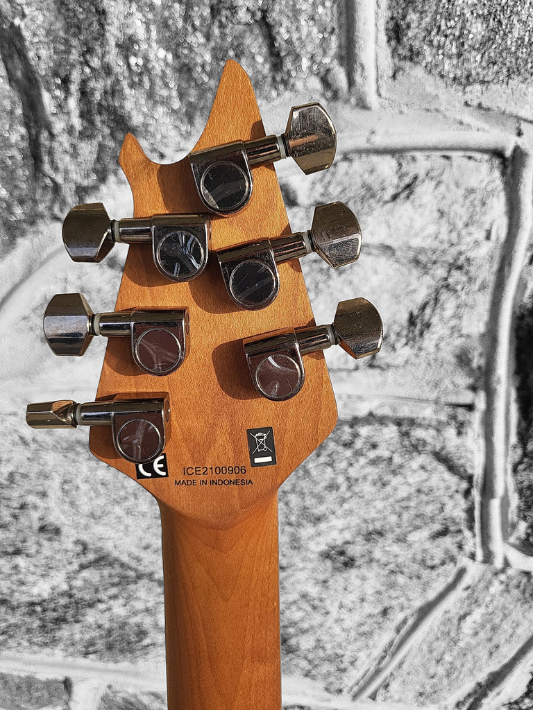 EVH Wolfgang Standard with EVH case, Spalted Maple