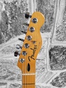 Fender Player Plus Telecaster®, Maple Fingerboard, Butterscotch Blonde