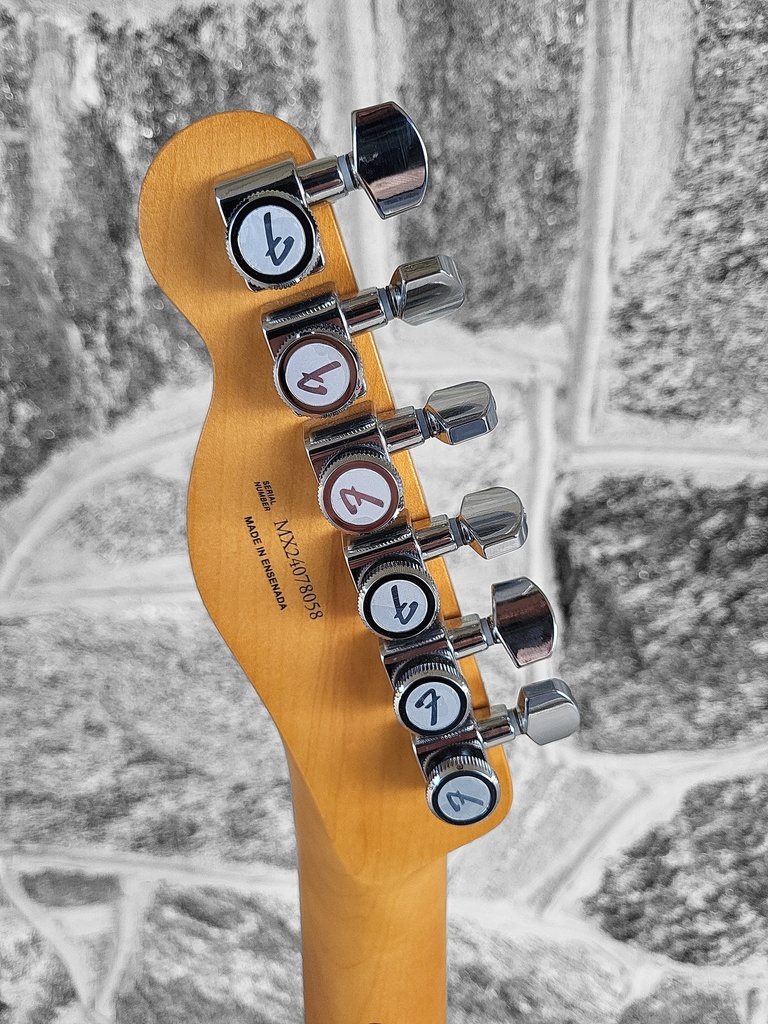Fender Player Plus Telecaster®, Maple Fingerboard, Butterscotch Blonde