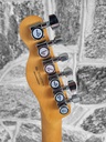 Fender Player Plus Telecaster®, Maple Fingerboard, Butterscotch Blonde