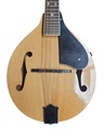 Custom A-Style Mandolin with Hardshell Case