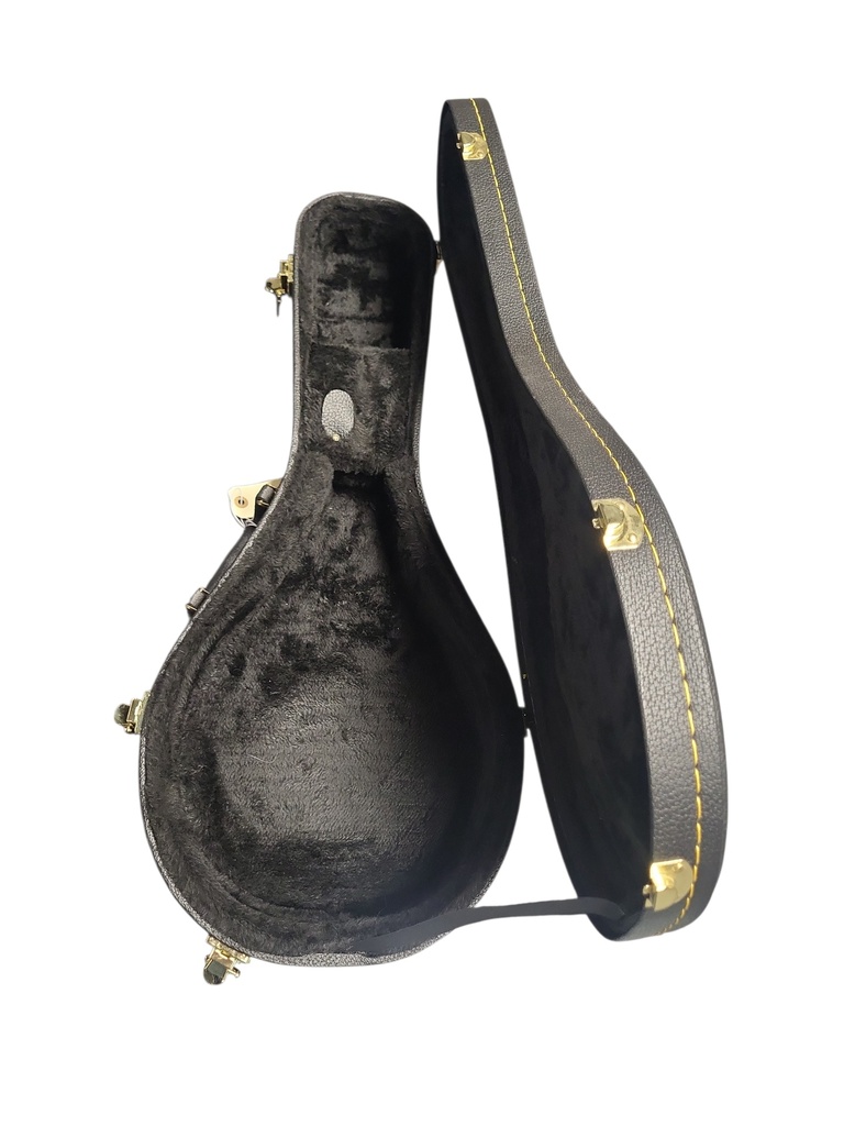 Custom A-Style Mandolin with Hardshell Case
