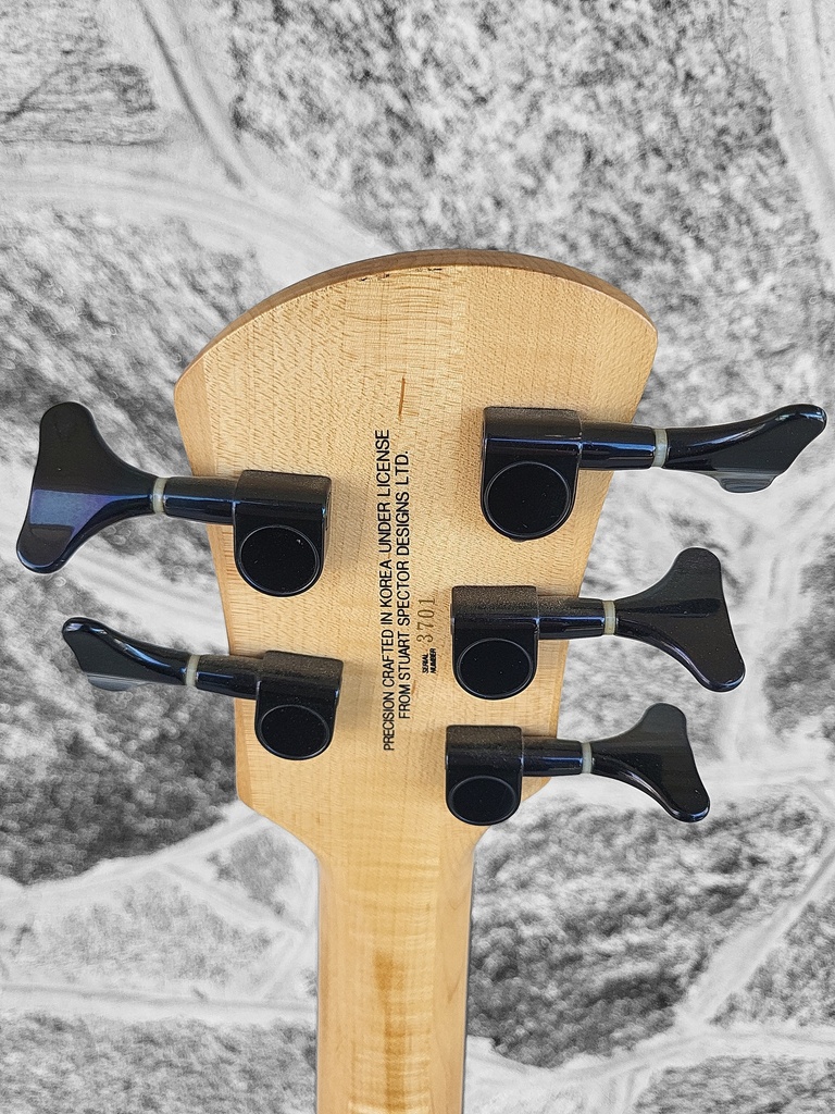 Spector Q5 Pro Bass, Amber